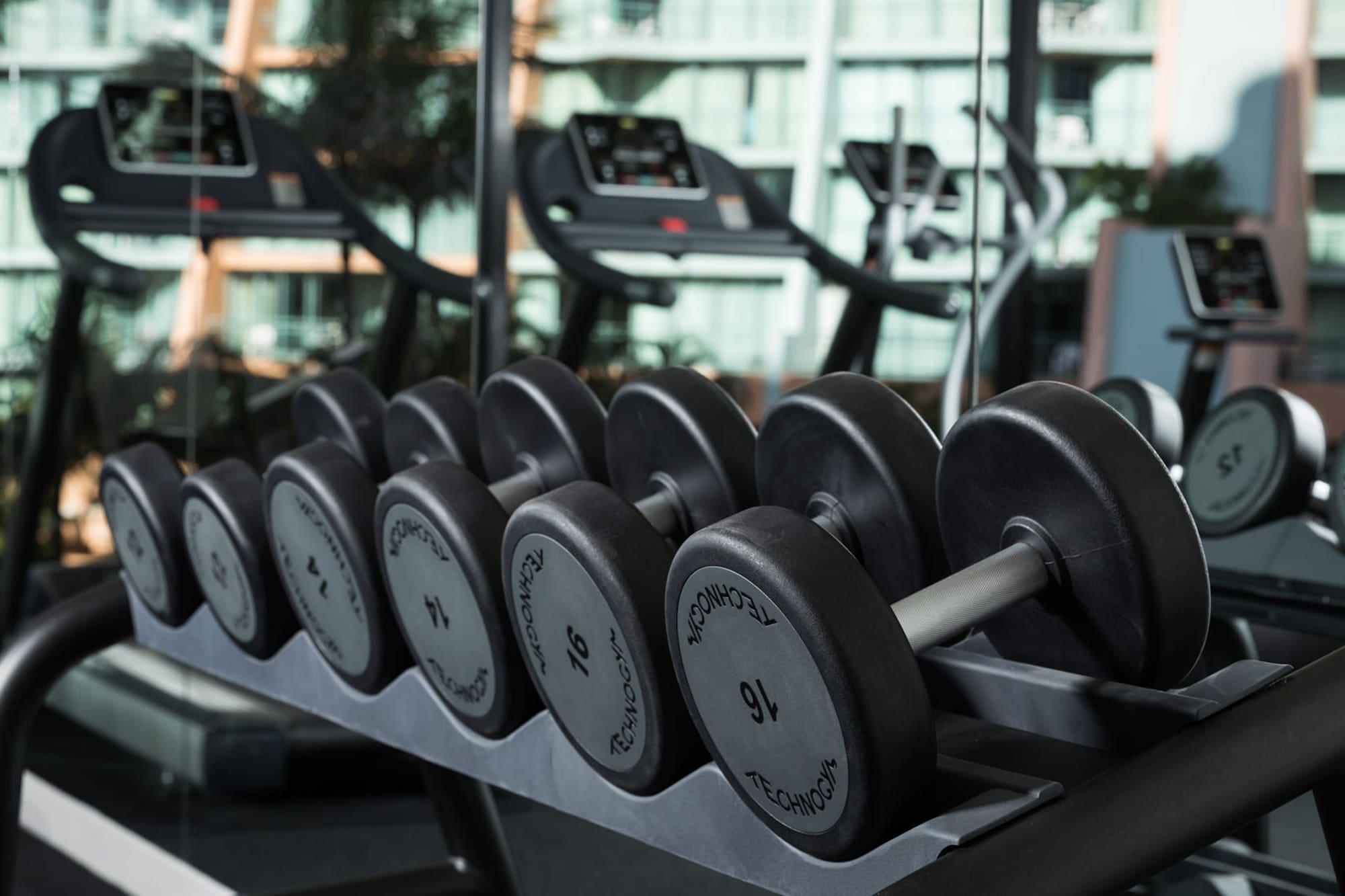 Rydges Wellington Airport Hotel Luaran gambar